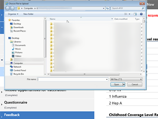 Choose File to Upload prompt